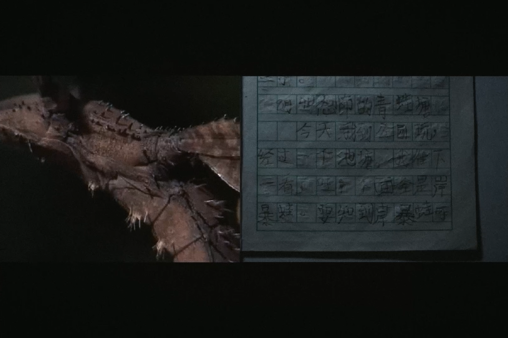 A notebook alongside a split-screen image