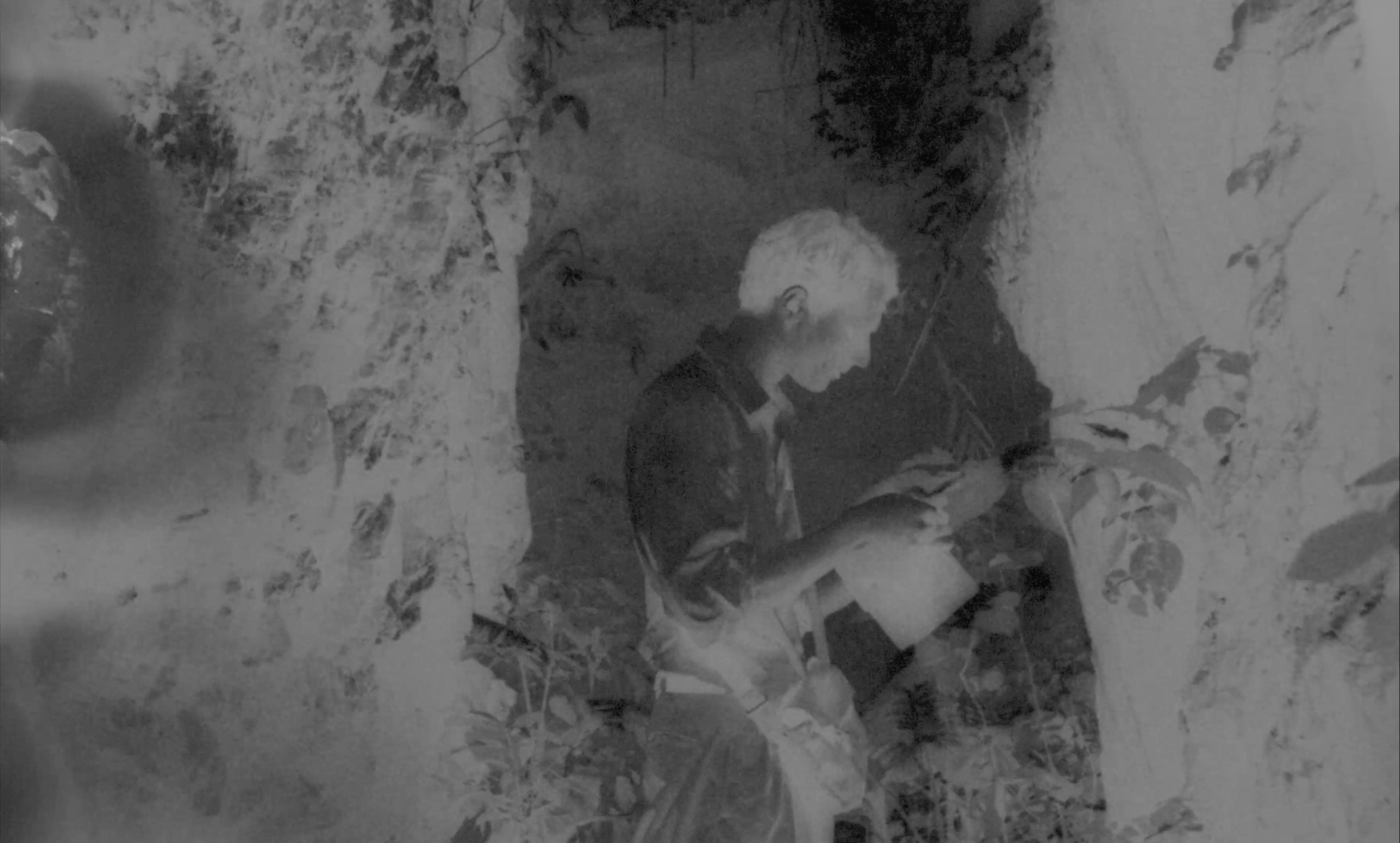 A figure in profile among trees, rendered as a photographic negative