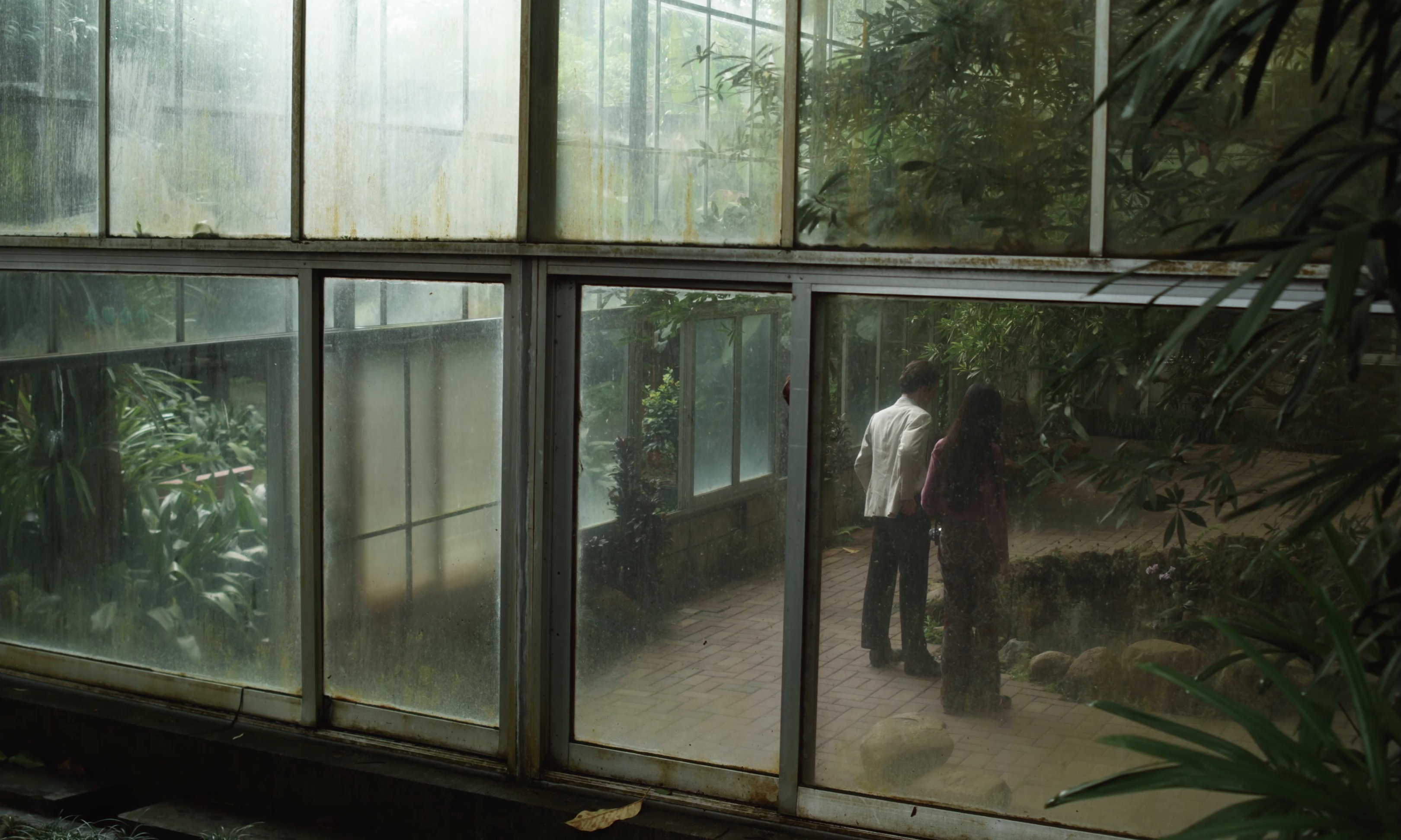 Two figures inside a greenhouse