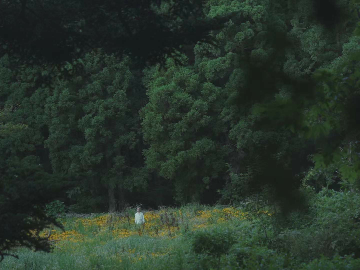 GURGLING — a figure in a flower field